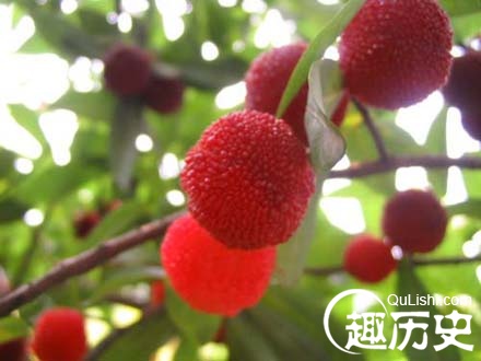望梅止渴的典故 成语望梅止渴的主人公是谁？