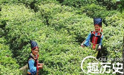 布朗族历史 “沧江怒水”之间的布朗族