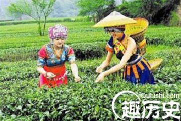 德昂族历史 为何说德昂族是茶叶的后代