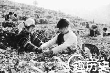 德昂族历史 为何说德昂族是茶叶的后代