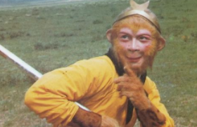 《西游记》中除了孙悟空外还有那几个厉害的猴子?