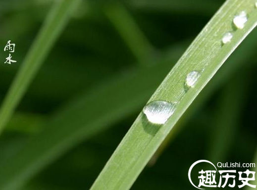 雨水节气的俗语有哪些 雨水节气的俗语大全