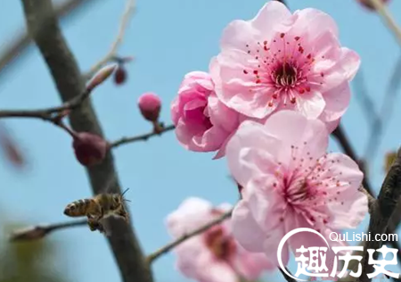 三九四九冻死狗！古诗和谚语中的“冷” 