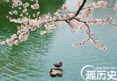三九四九冻死狗！古诗和谚语中的“冷” 