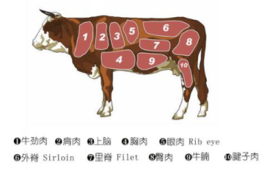 成语&ldquo;庖丁解牛&rdquo;的原意是什么？其中又有哪些历史典故呢？