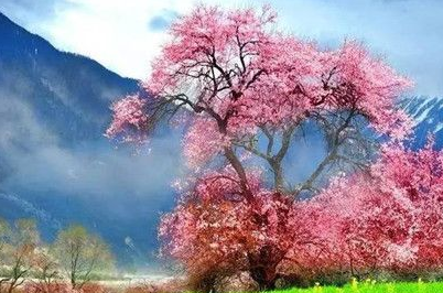 《桃花源记》的作者是谁？《桃花源记》的创作背景是什么？