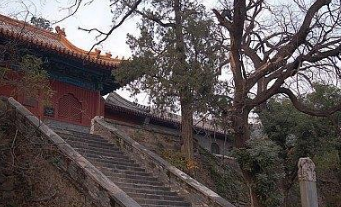 一个名不见经传的诗人，张九龄阅其诗稿竟一字难改？
