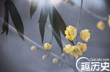 这八个日常成语 相信大部分中国人都理解错了!