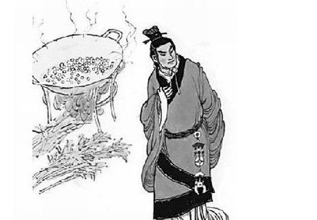 煮豆燃萁的故事主角:煮豆燃萁的历史人物是谁?